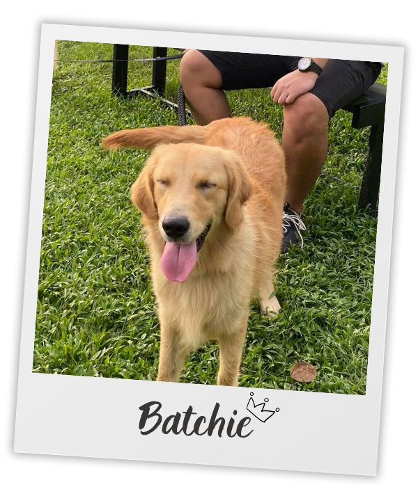 Batchie, Raphael's heart dog