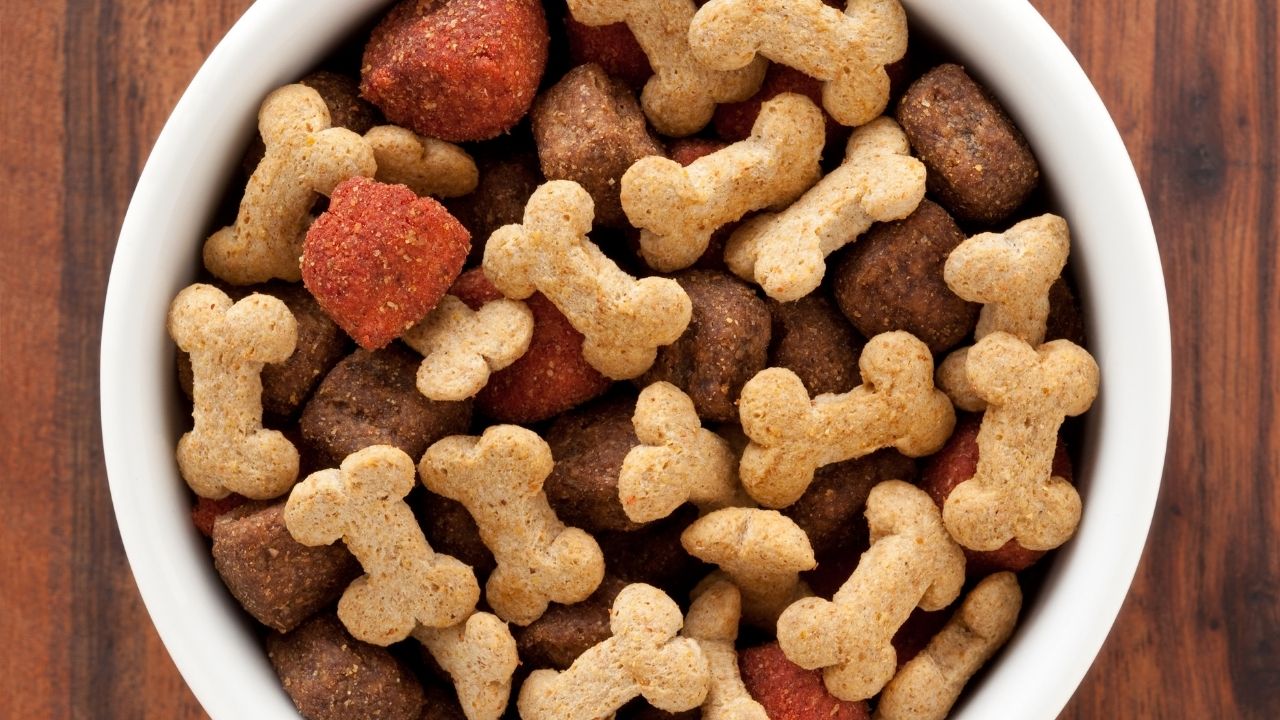 Dog food linked to cheap cancer