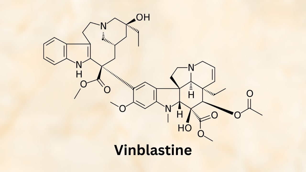 Vinblastine for Dogs