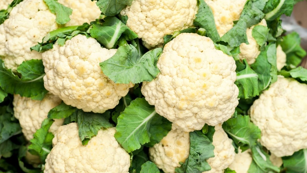 Cauliflower bad for on sale dogs