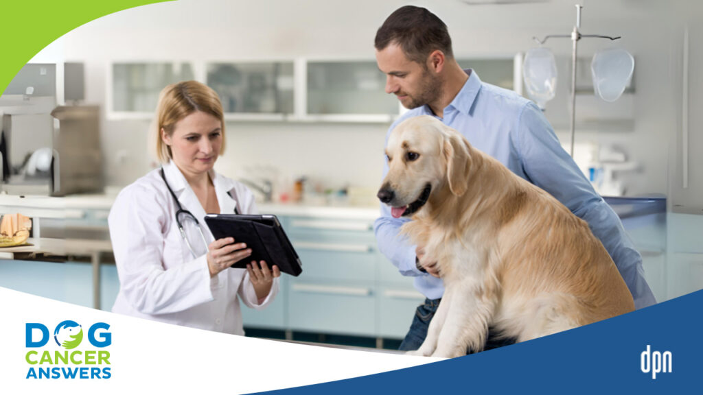 get the most out of vet oncologist visit
