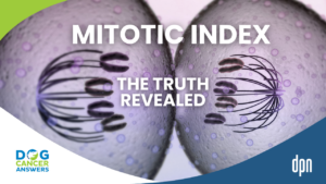 Aggressive Dog Tumor How Mitotic Index Reveals the Hidden Truth with Dr. Brooke Britton